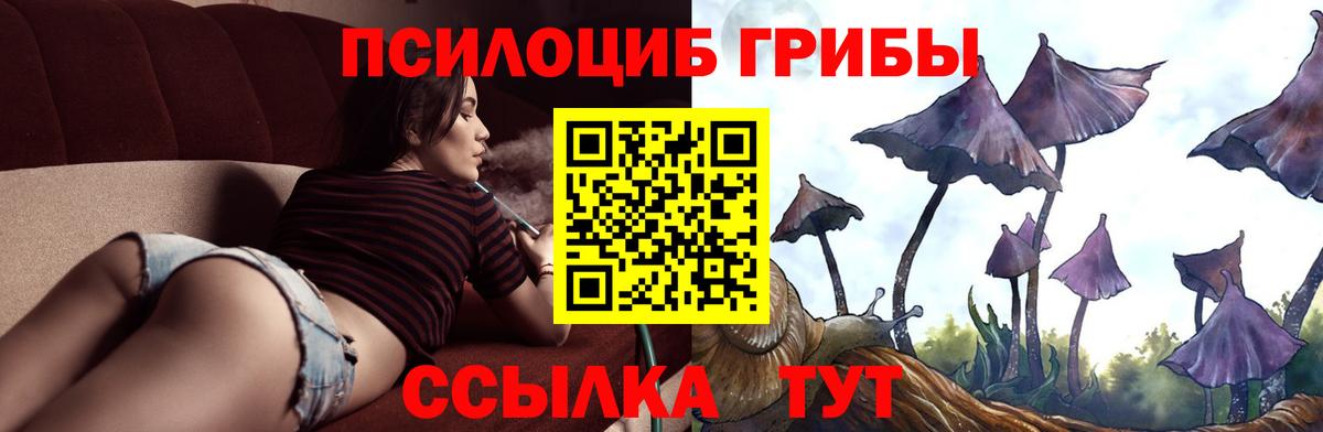 Галлюциногенные грибы мицелий  Вход с VPN  Галлюциногенные грибы мухоморы  Иваново 